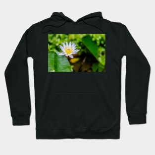 Unique nature photography Water lily Nympthaea Hoodie